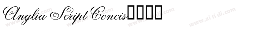 Anglia Script Concis字体转换